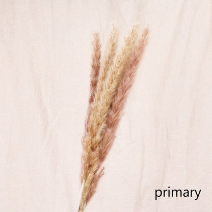 Pampas Grass Decoration